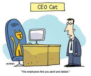 cat sitting at a man's desk