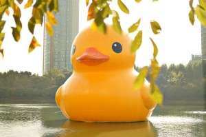 10 Effective Email Communication Skills That Don’t Quack