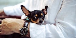 21 Employee Engagement Ideas That Get Results