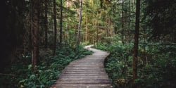 Paperless Communication: Saving Trees and Your Bottom Line