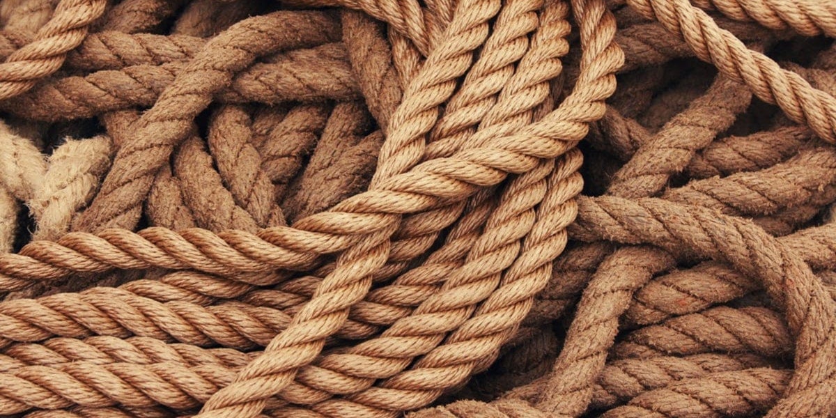 learning the ropes - blog image - update