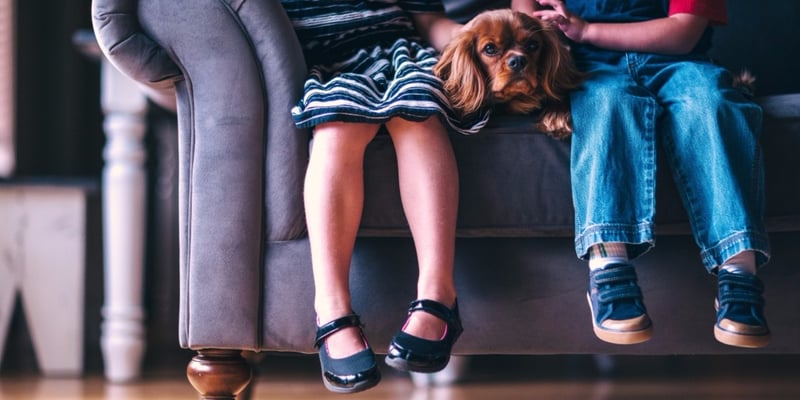 The Benefits of Student Engagement